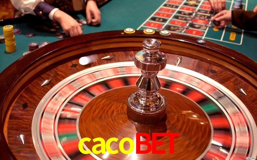 Interface Premium cacobet